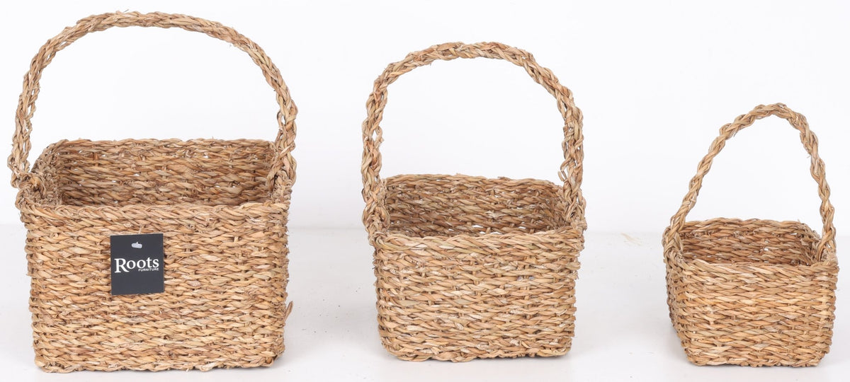 S.G BERRY BASKET SET OF 3 Baskets| Roots Furniture