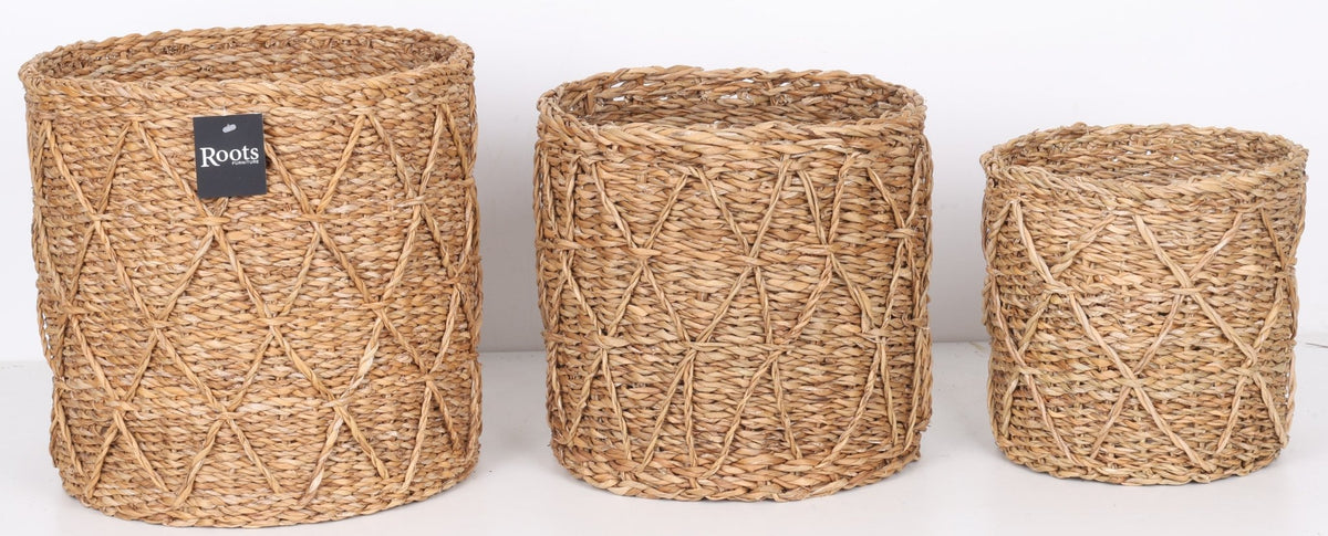 S.G DESIGNED BASKET SET OF 3 Baskets| Roots Furniture