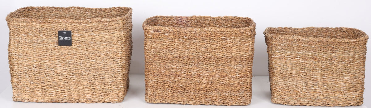 S.G RECTANGULAR BASKET WITH SELF HANDLE SET OF 3 Baskets| Roots Furniture