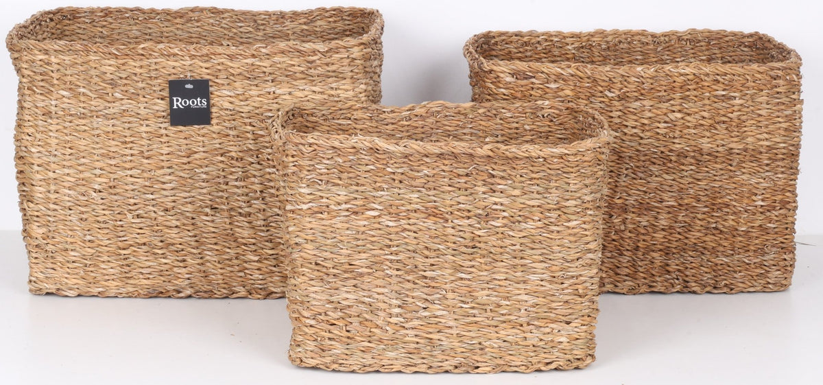 S.G RECTANGULAR BASKET WITH SELF HANDLE SET OF 3 Baskets| Roots Furniture