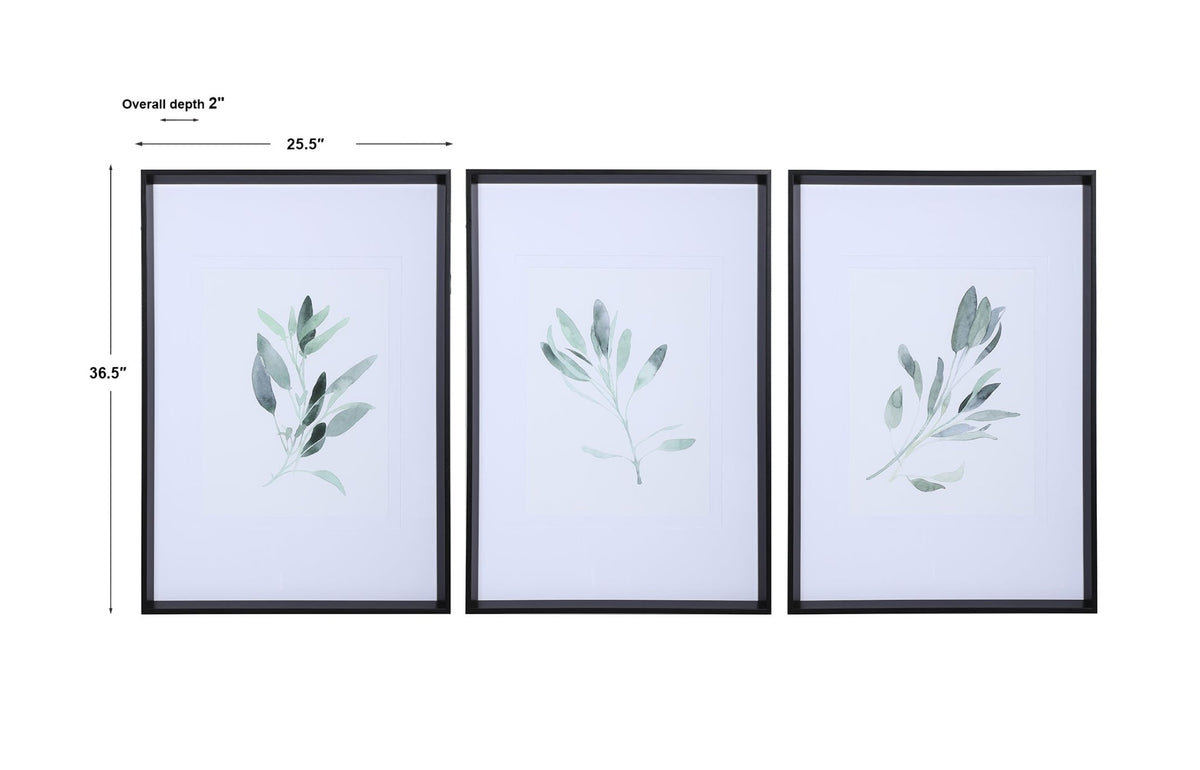Simple Sage Framed Prints, S/3 Paintings & Pictures| Uttermost