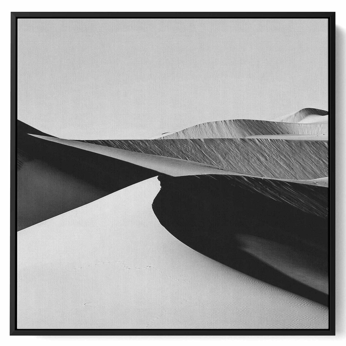 Square Canvas Wall Art Stretched Over Wooden Frame with Black Floating Frame and Flower Art Painting Paintings & Pictures| LOWHA
