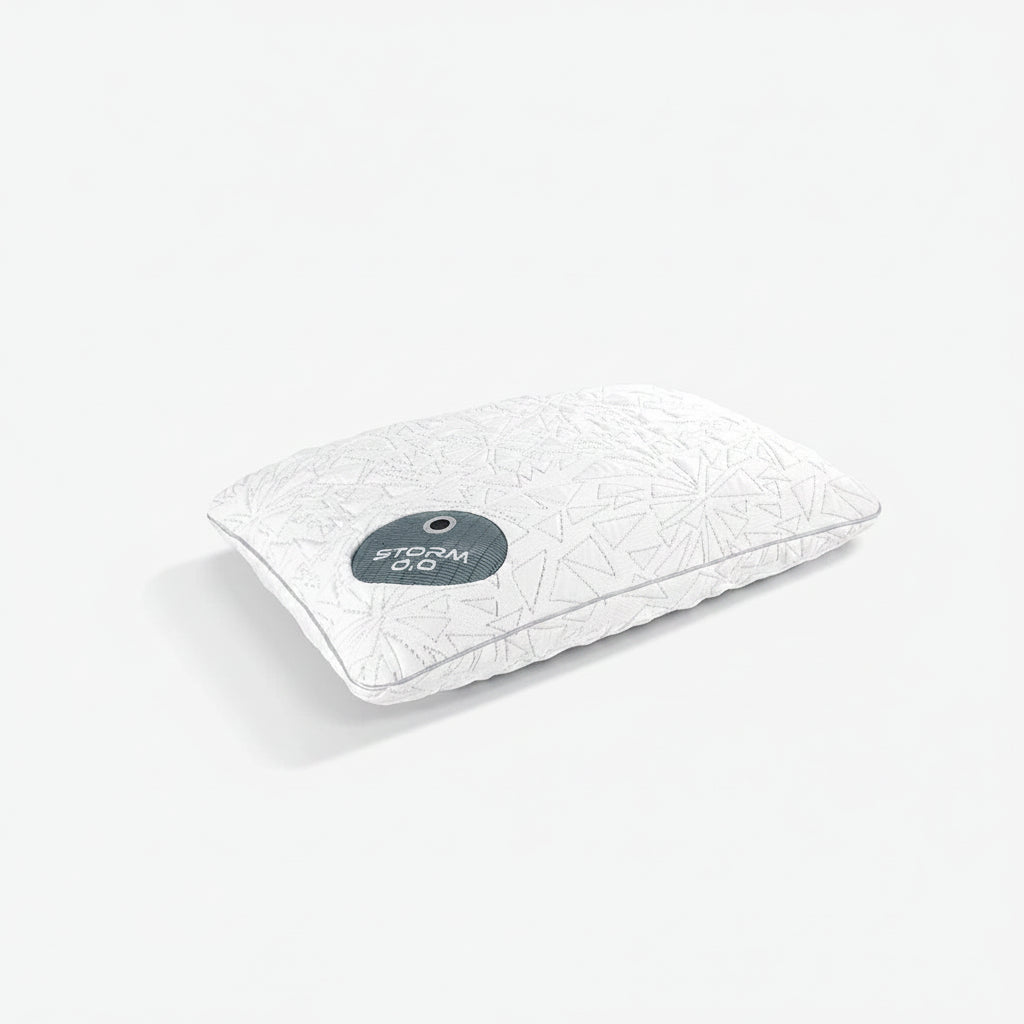 Storm 2022 Pillow - 0.0
