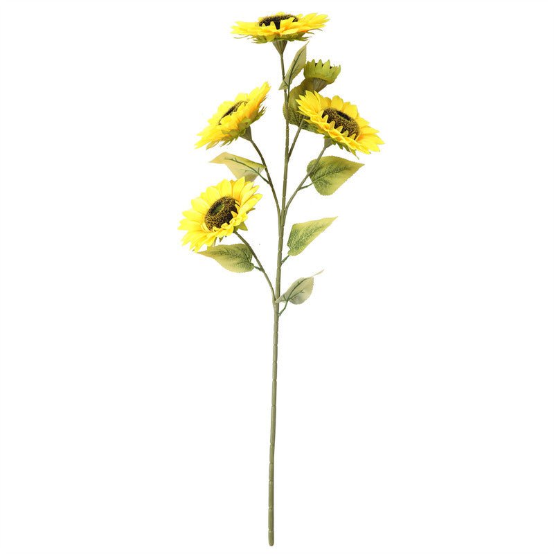 Sunflowers Plants| Roots Furniture