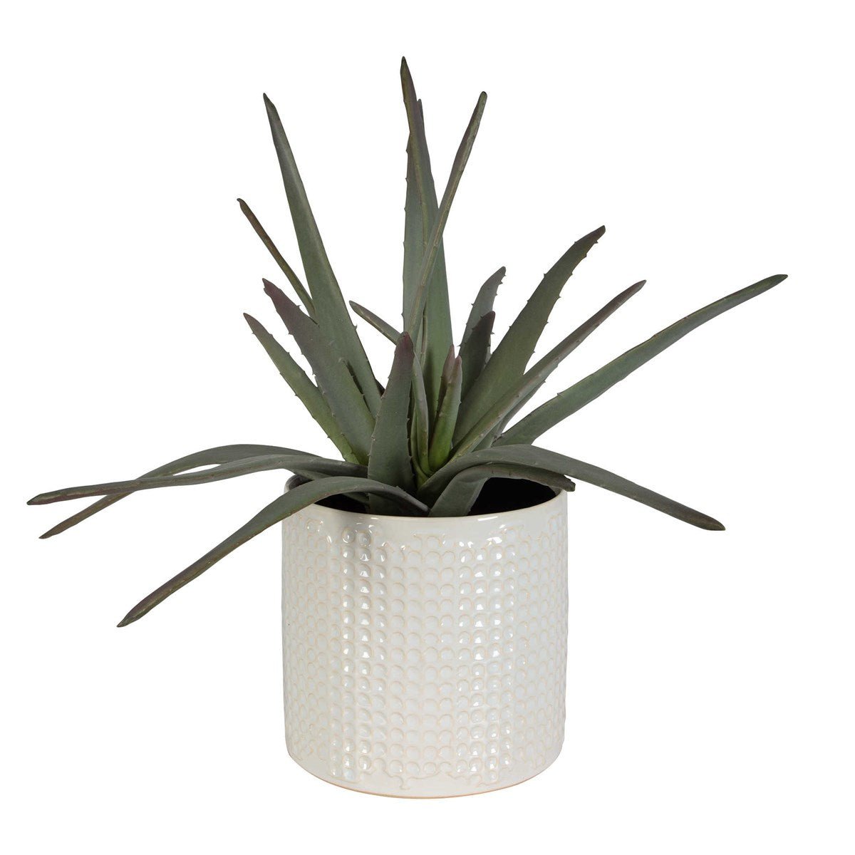 Taos Aloe Centerpiece Table Decors| Uttermost