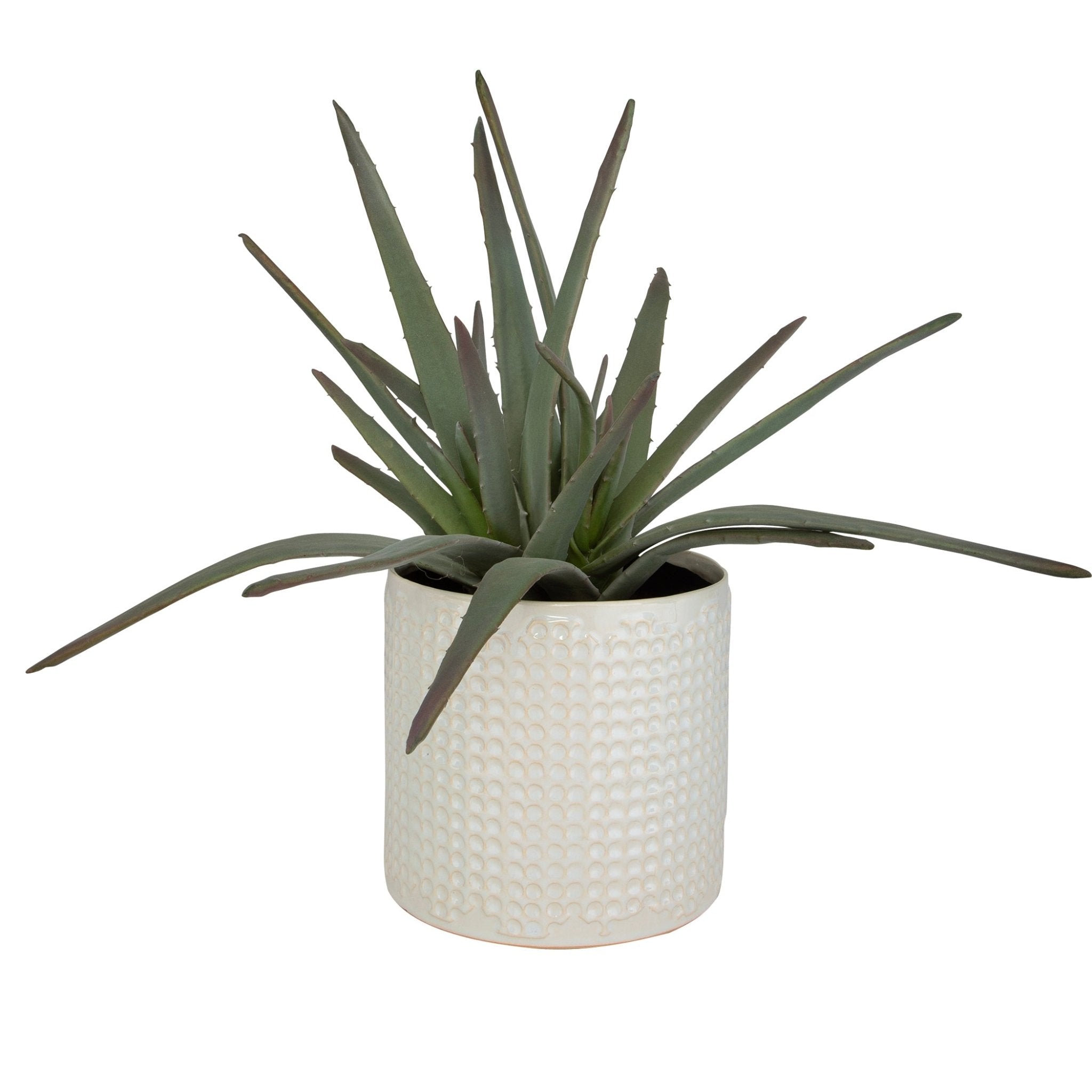 Taos Aloe Centerpiece Table Decors| Uttermost