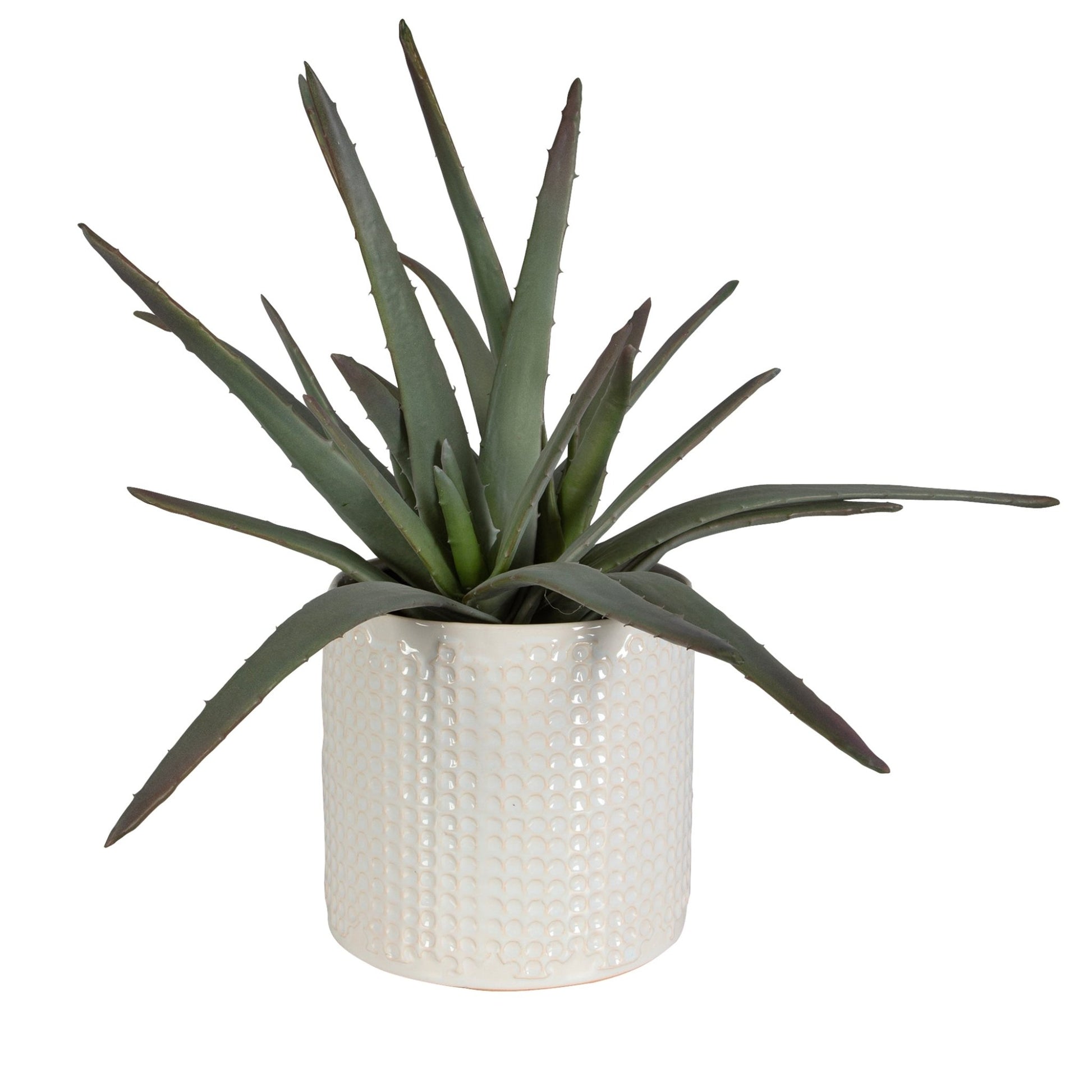 Taos Aloe Centerpiece Table Decors| Uttermost