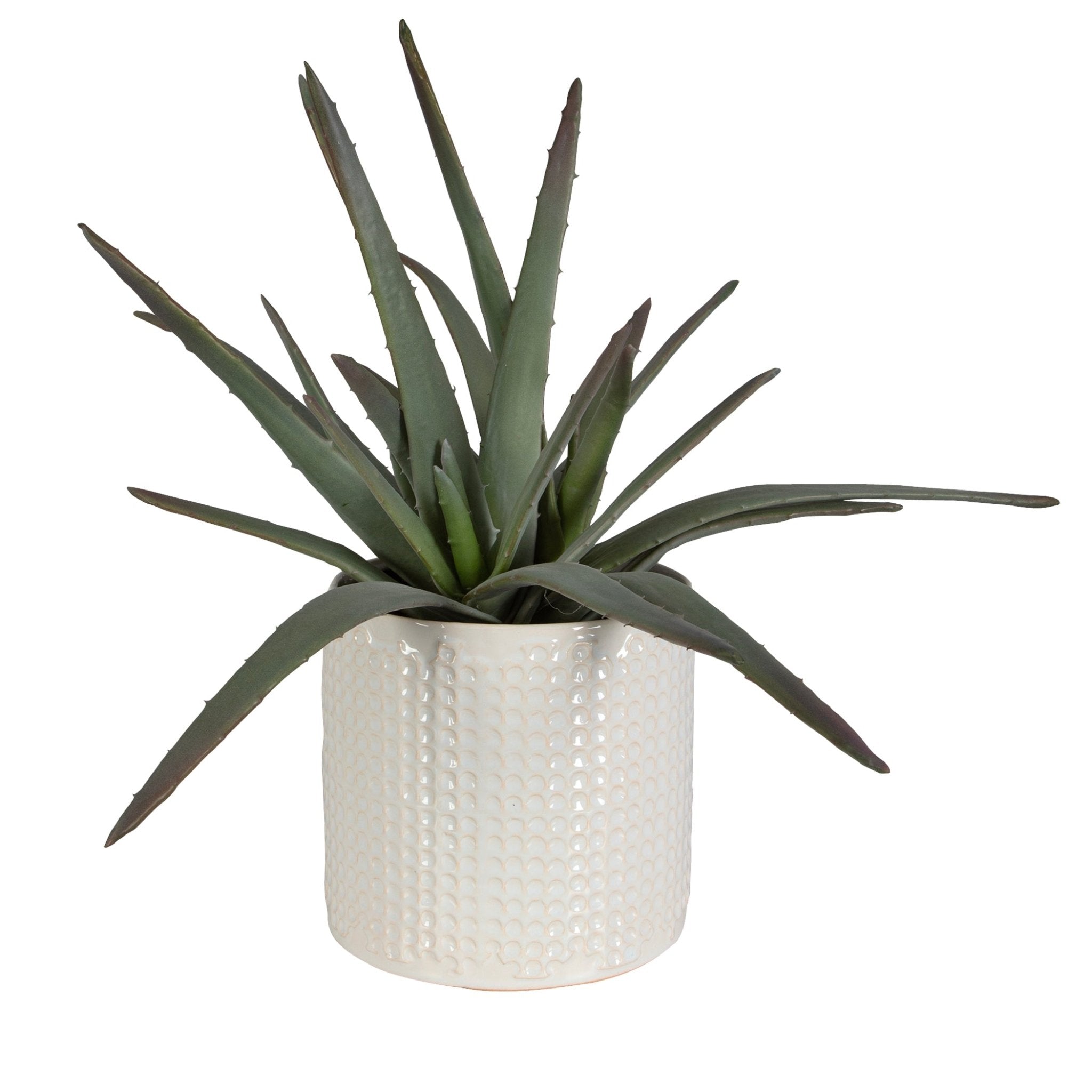 Taos Aloe Centerpiece Table Decors| Uttermost