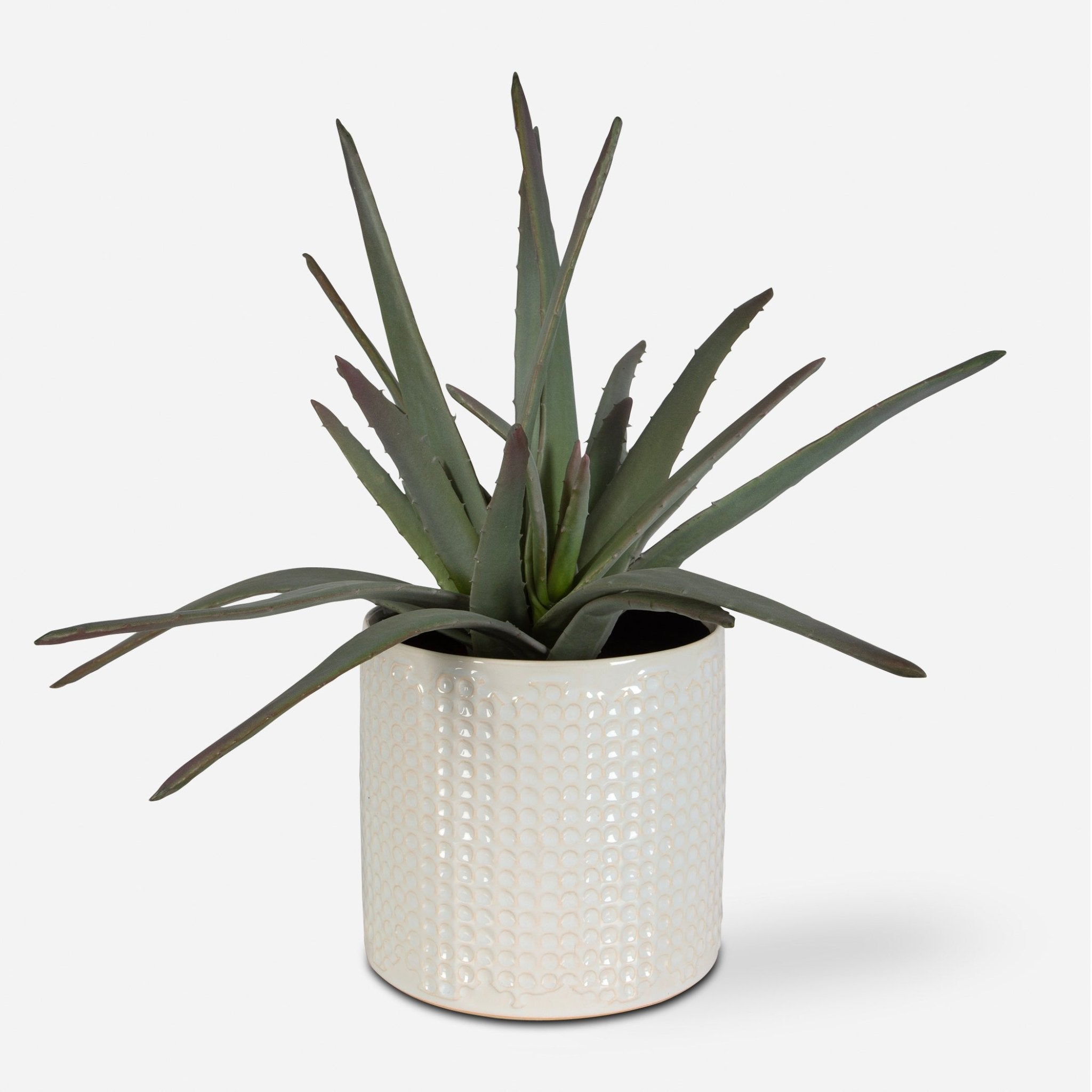 Taos Aloe Centerpiece Table Decors| Uttermost