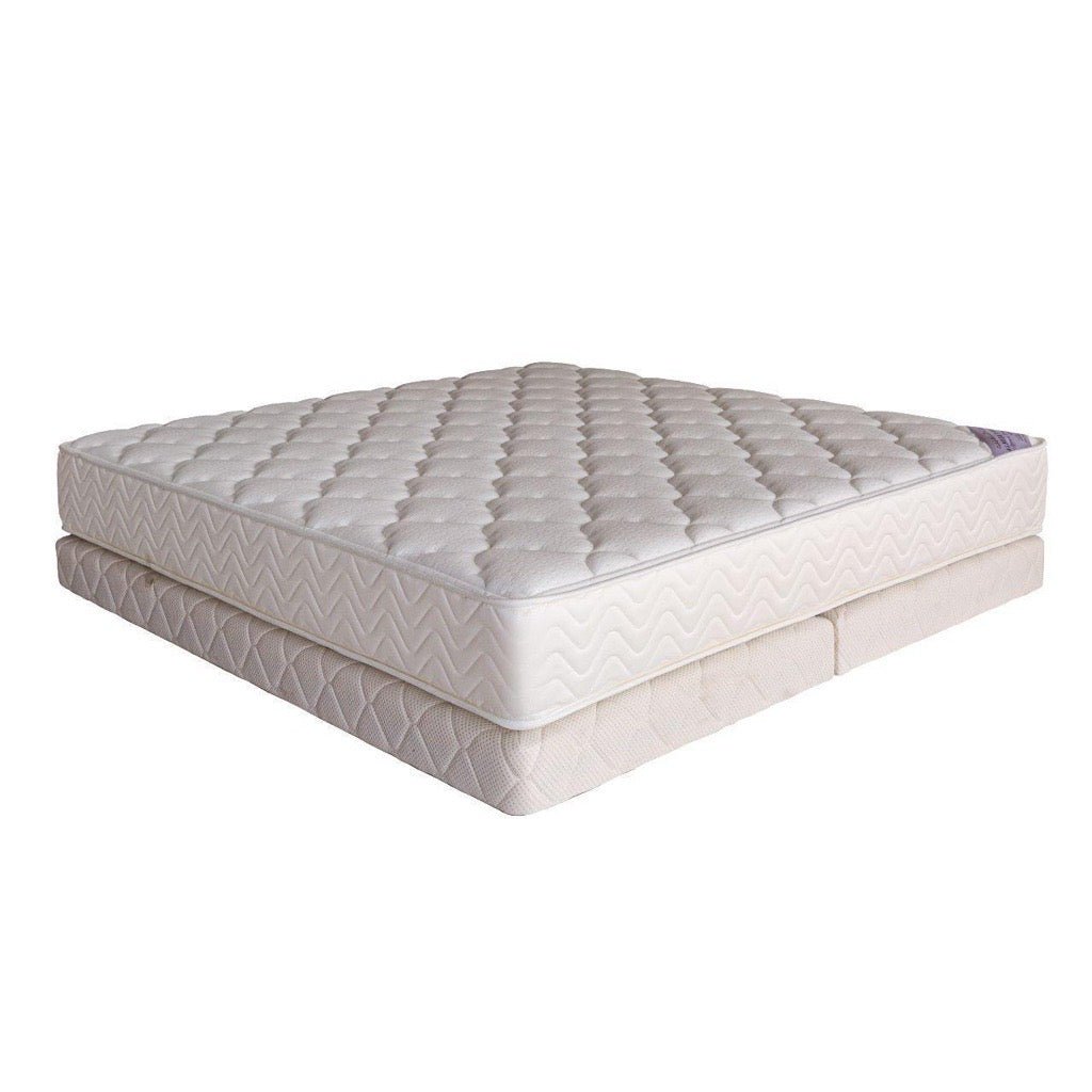 Therapedic Mattress Mattresses| Roots Furniture