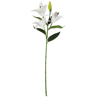 tiger orchid lily - Al Rugaib Furniture