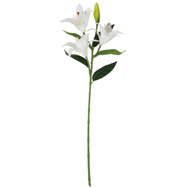 tiger orchid lily - Al Rugaib Furniture