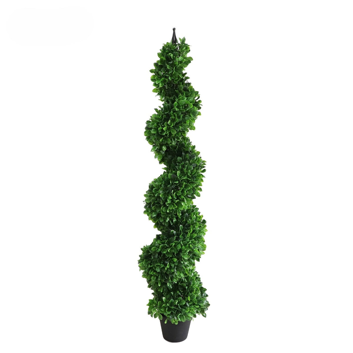 Topiary Tree Plants| Roots Furniture