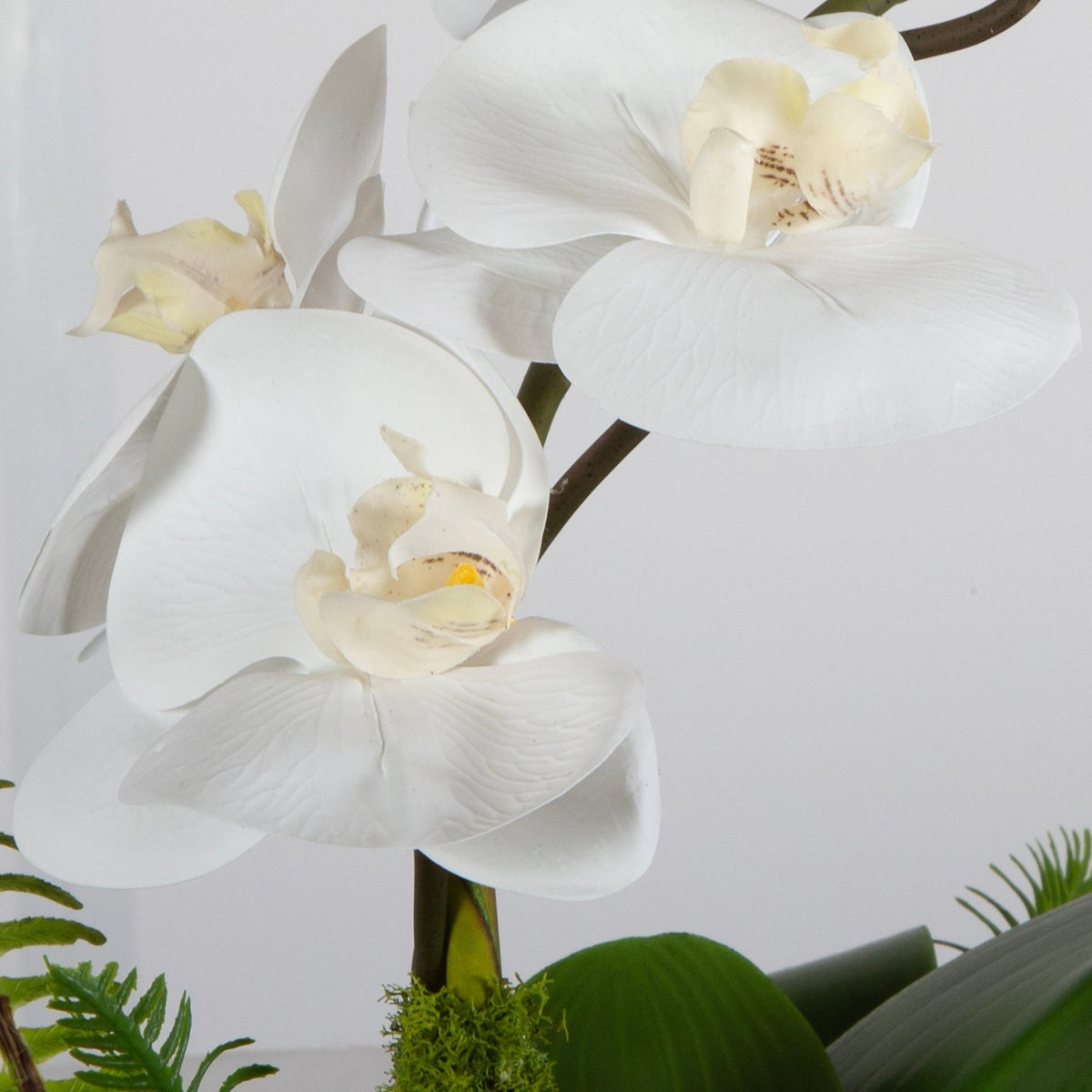 Transcend Orchid Centerpiece Table Decors| Uttermost