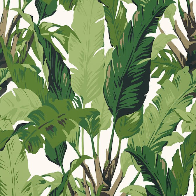 TRAVELERS PALM,Non Woven Wallpaper Wallpaper| Thibaut Design