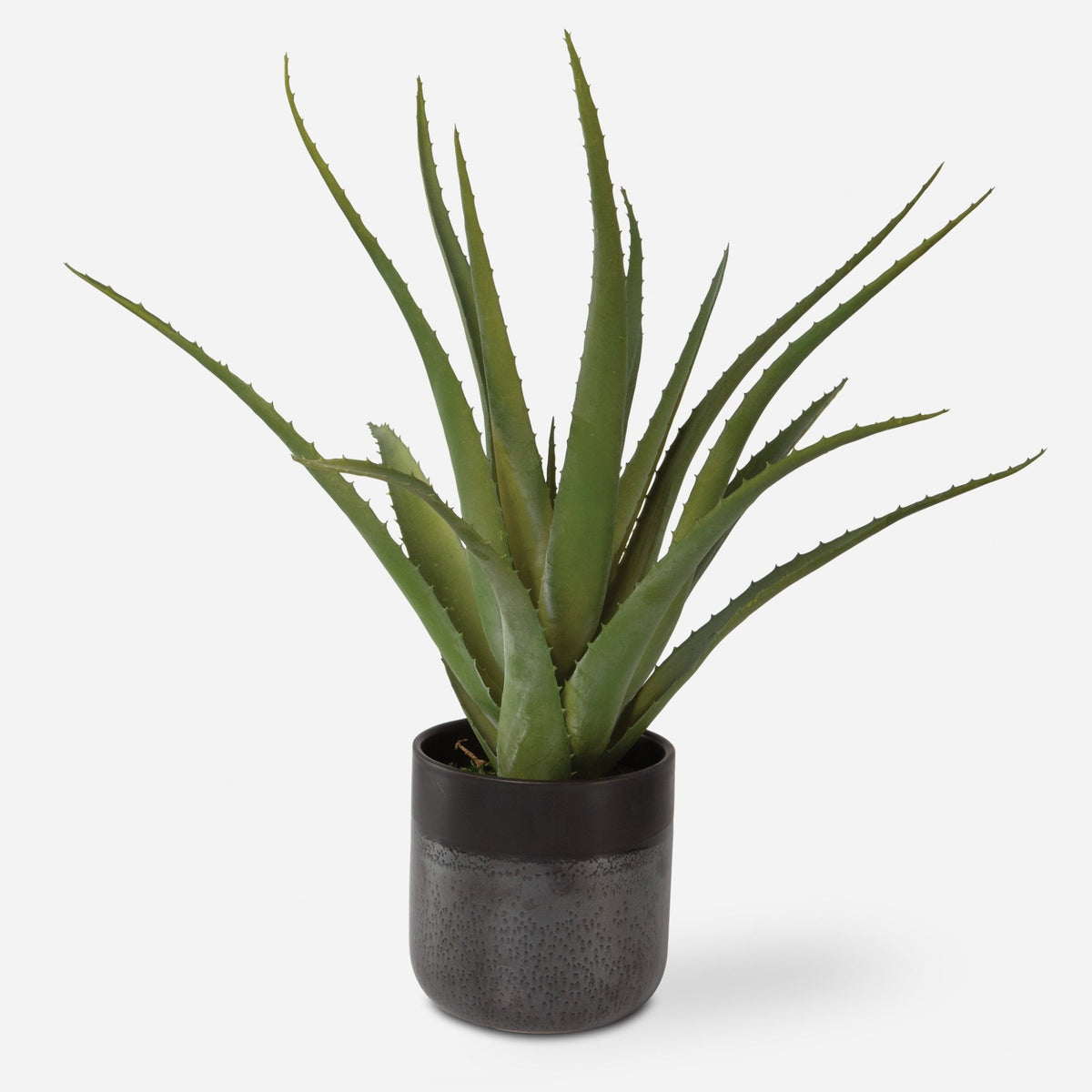 Tucson Aloe Planter Table Decors| Uttermost