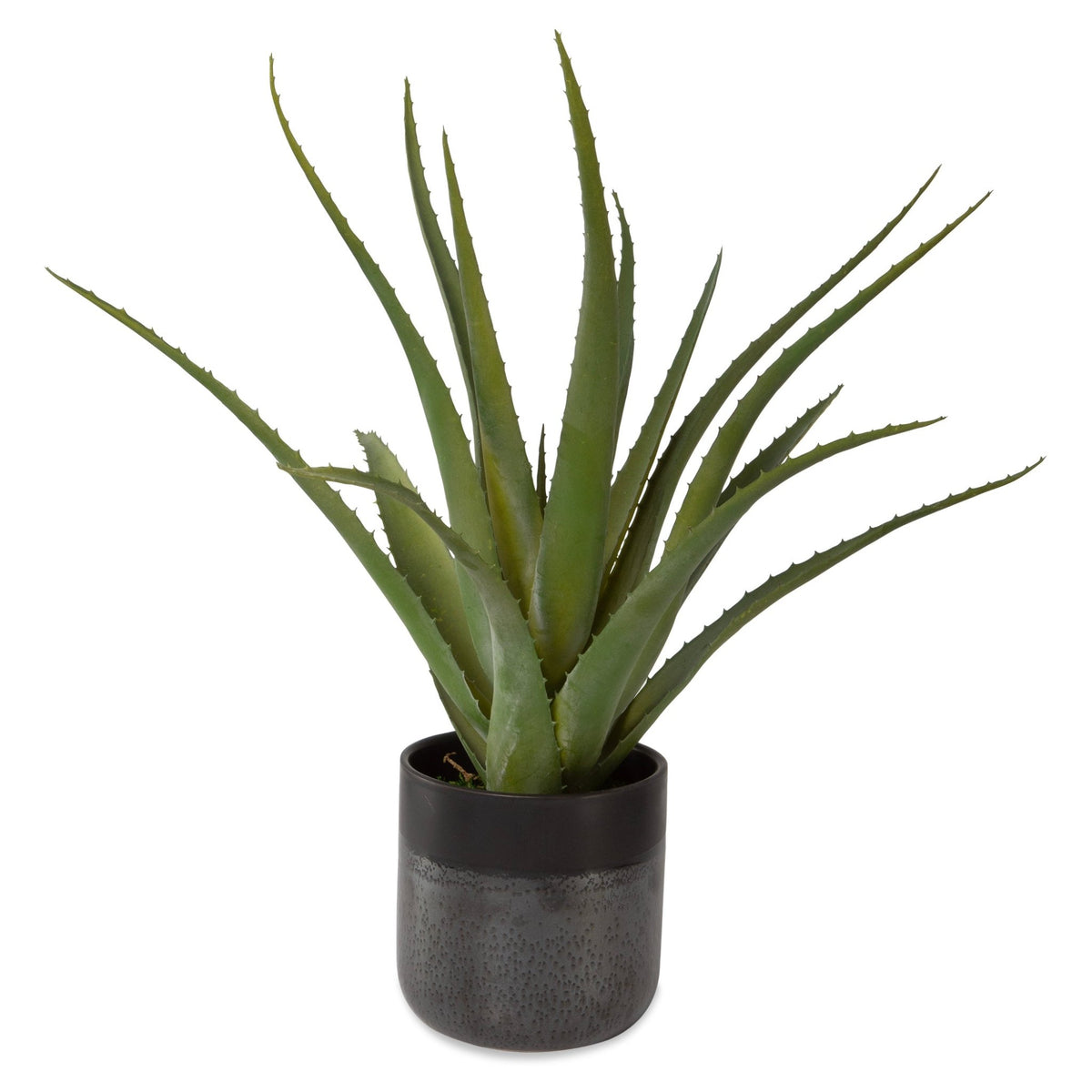 Tucson Aloe Planter Table Decors| Uttermost