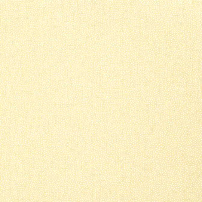 TURINI DOTS,Non Woven Wallpaper Wallpaper| Thibaut Design