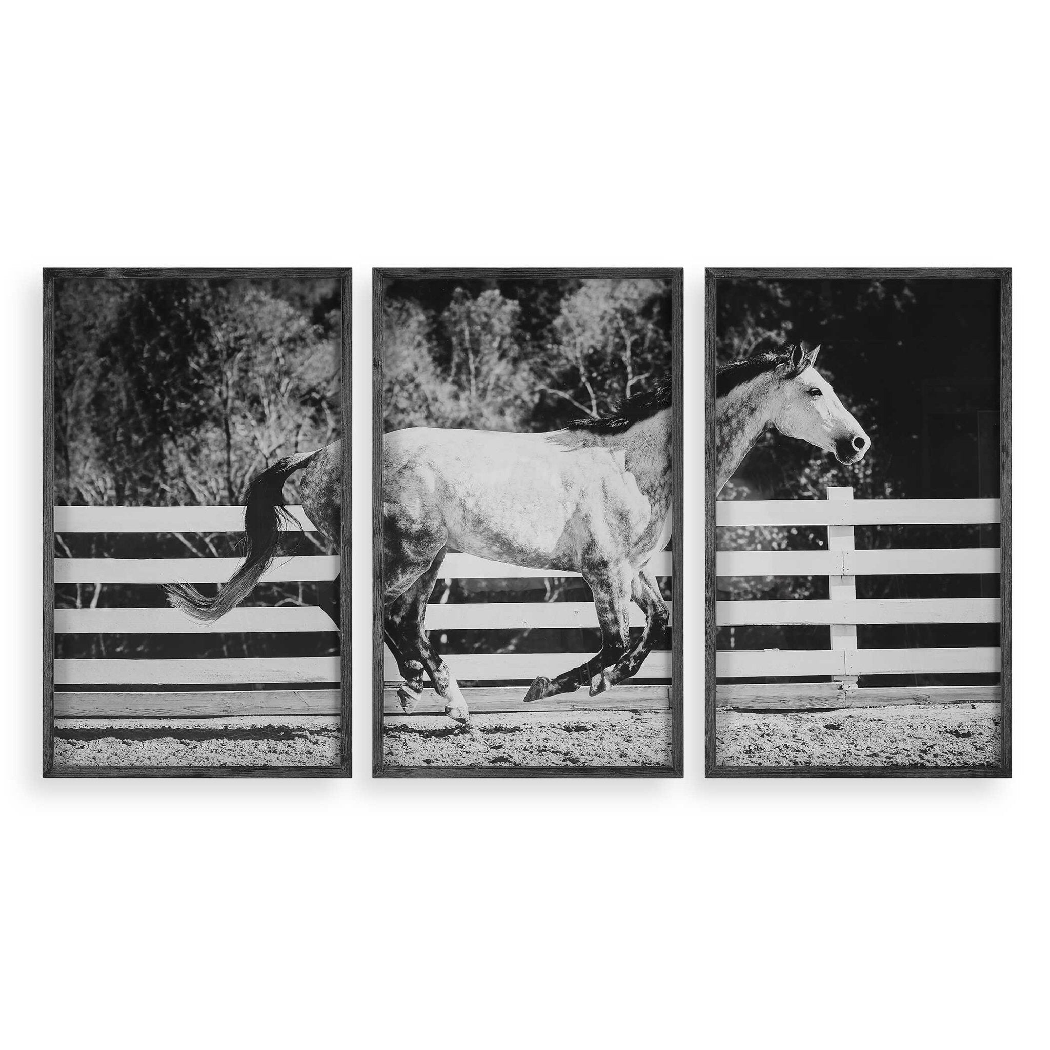 Uttermost Galloping Forward Equine Prints, Set/3 Wall Art| Uttermost