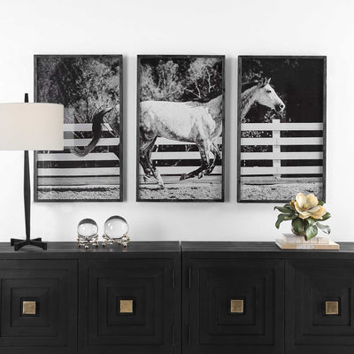 Uttermost Galloping Forward Equine Prints, Set/3 - Al Rugaib Furniture