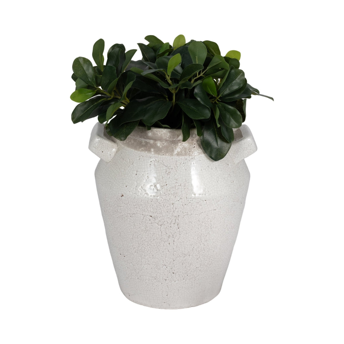 Vases Vases and Jars| Sagebrook Home
