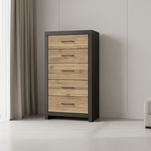 Vertani Chest of Drawers