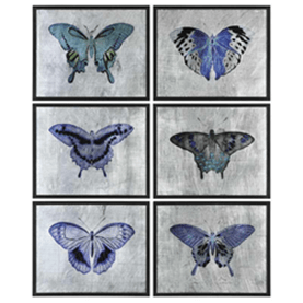 Vibrant Butterflies Framed Prints, S/6 - Al Rugaib Furniture