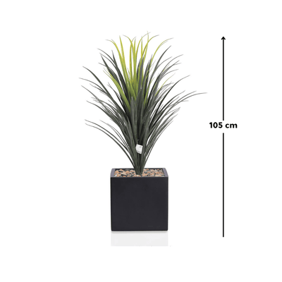 Yucca cactus tree with a square fiber pot consisting of a single branch, designed with green leaves that add a lively touch. Available colors: black,. - Al Rugaib Furniture