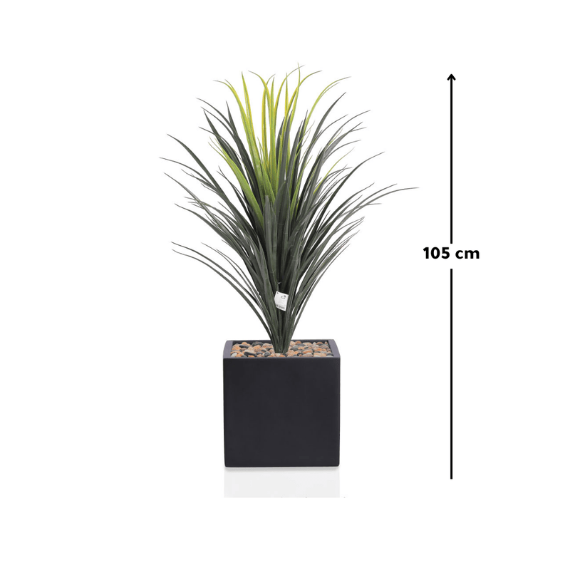 Yucca cactus tree with a square fiber pot consisting of a single branch, designed with green leaves that add a lively touch. Available colors: black,. - Al Rugaib Furniture
