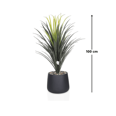 Yucca cactus tree with oval fiber pot consisting of a single branch, designed with green leaves that add a lively touch. Available colors: black. - Al Rugaib Furniture