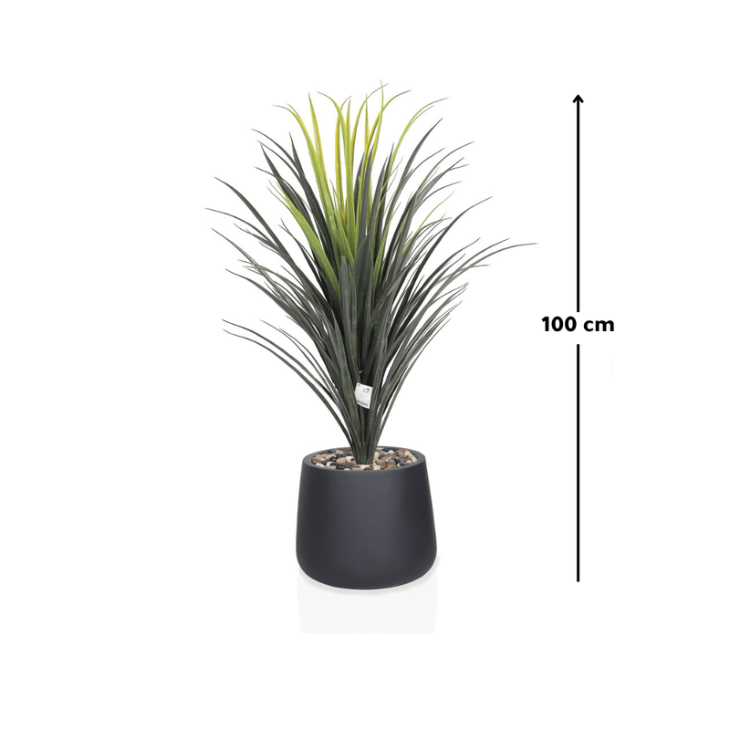 Yucca cactus tree with oval fiber pot consisting of a single branch, designed with green leaves that add a lively touch. Available colors: black. - Al Rugaib Furniture