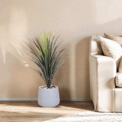 Yucca cactus tree with oval fiber pot consisting of a single branch, designed with green leaves that add a lively touch. Available colors: gray spray - Al Rugaib Furniture