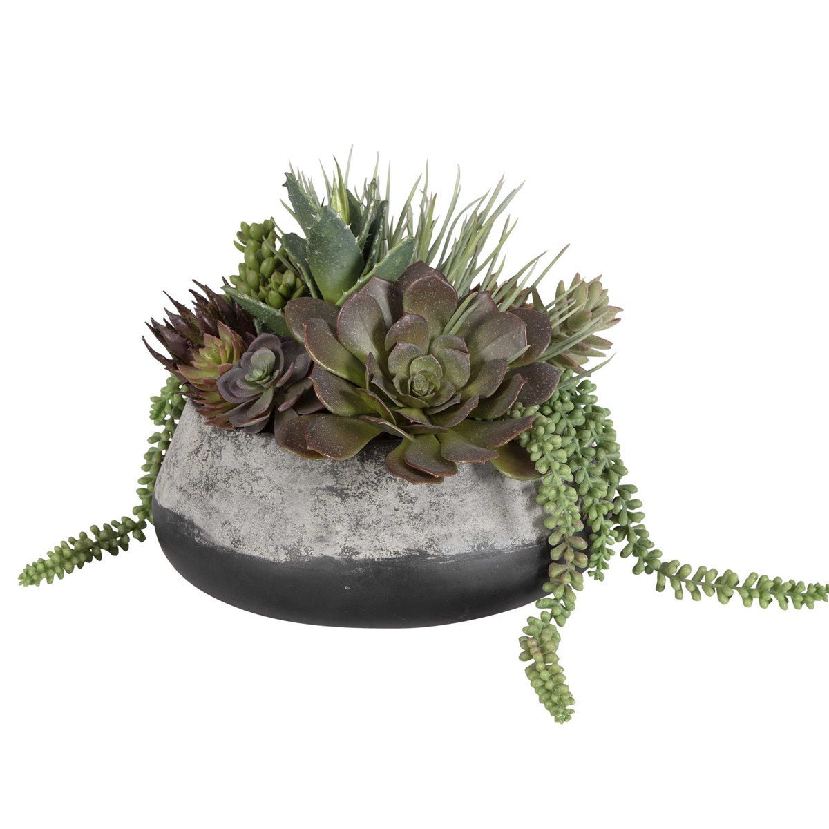 Yuma Succulent Centerpiece Plants| Uttermost