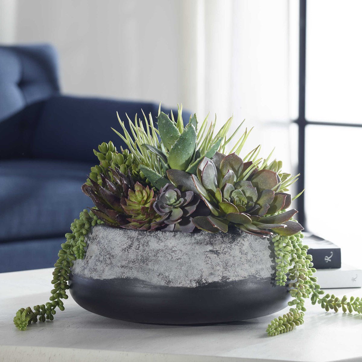 Yuma Succulent Centerpiece Plants| Uttermost