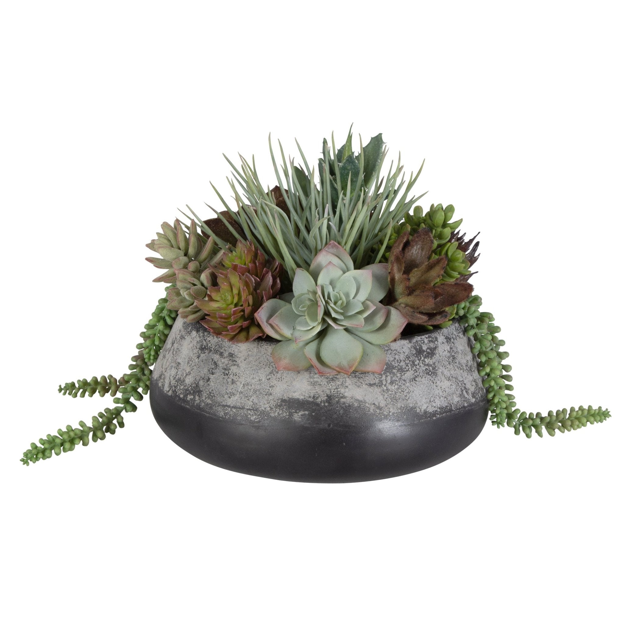 Yuma Succulent Centerpiece Plants| Uttermost