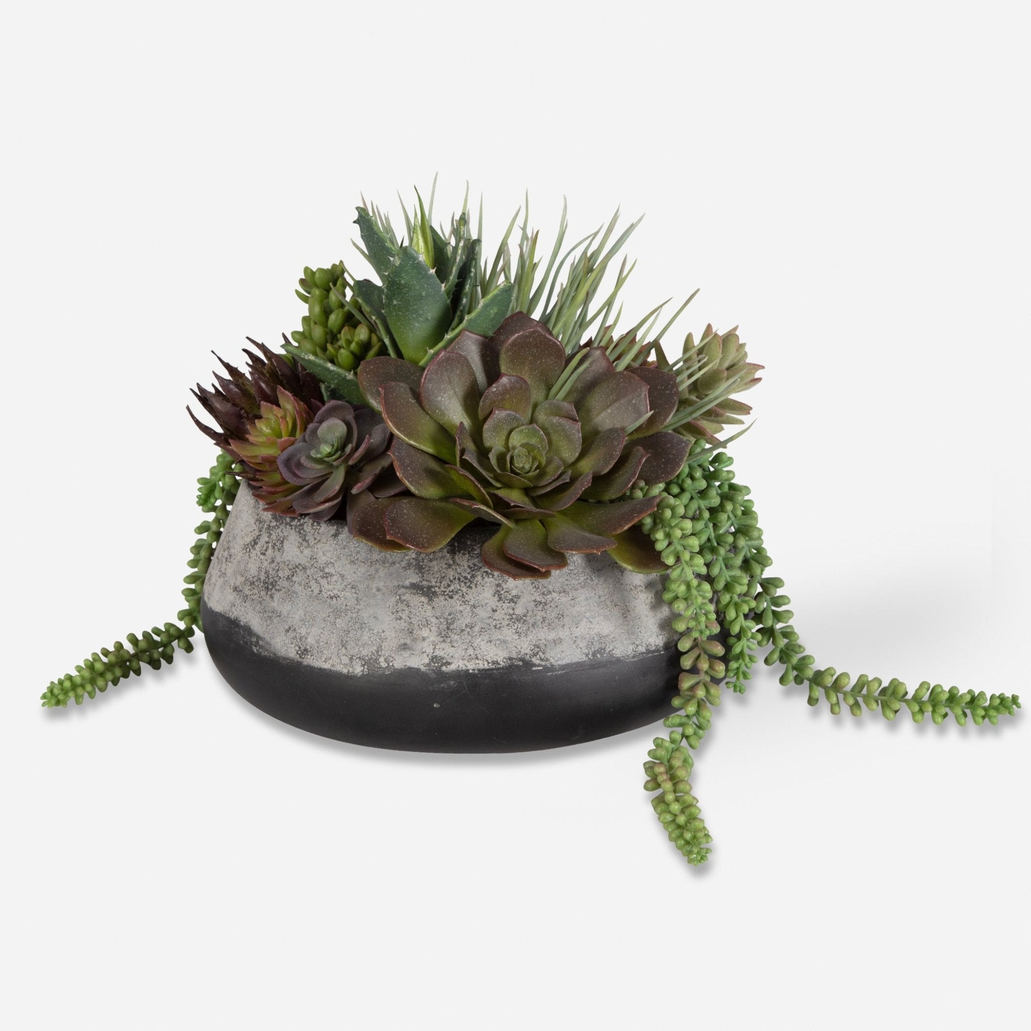 Yuma Succulent Centerpiece Plants| Uttermost