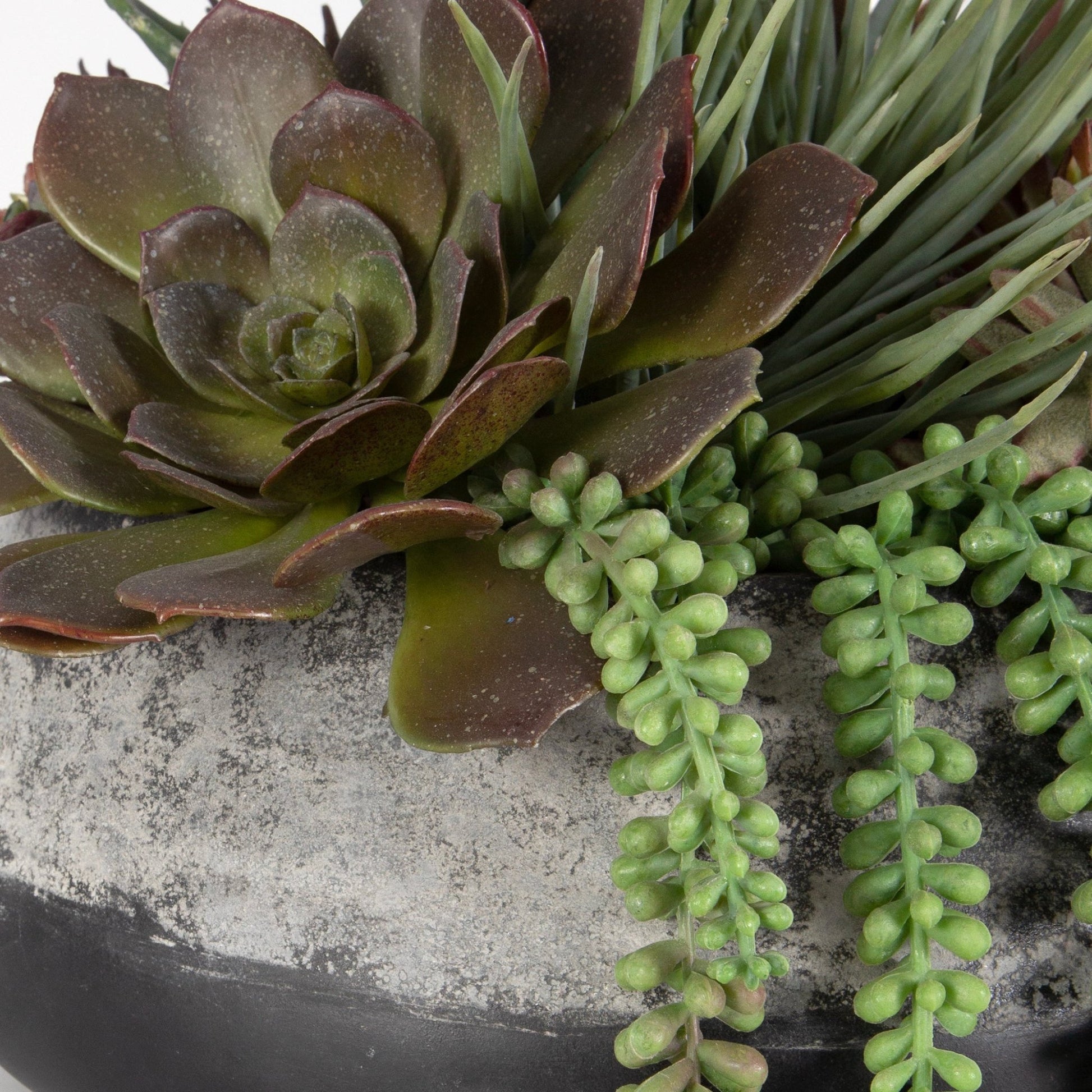 Yuma Succulent Centerpiece Plants| Uttermost