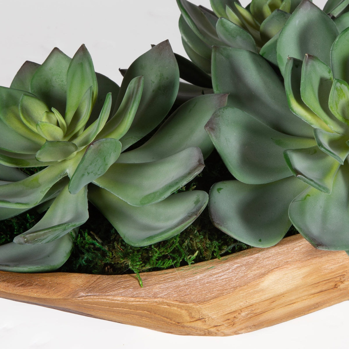 Yuma Succulent Centerpiece Table Decors| Uttermost