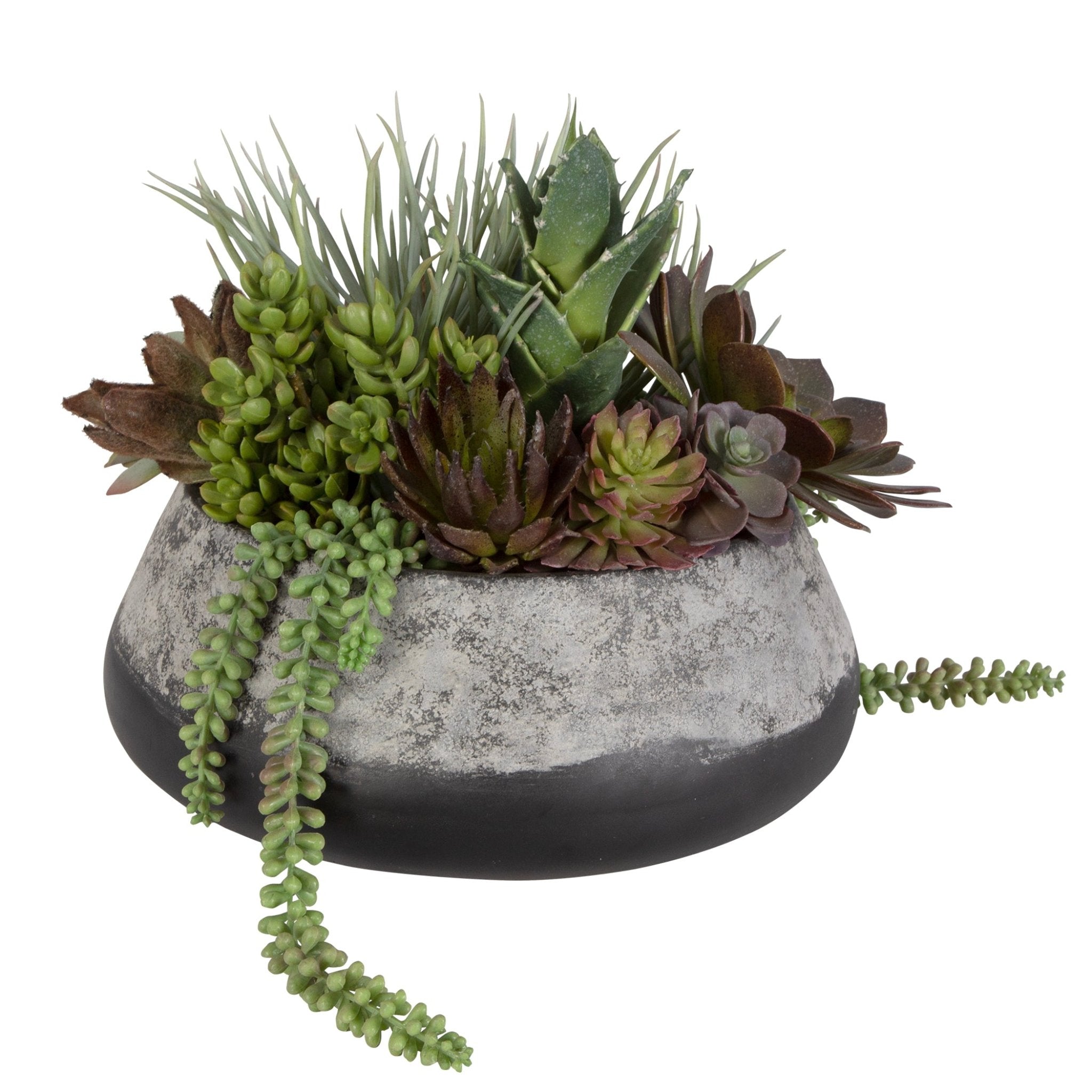 Yuma Succulent Centerpiece Plants| Uttermost