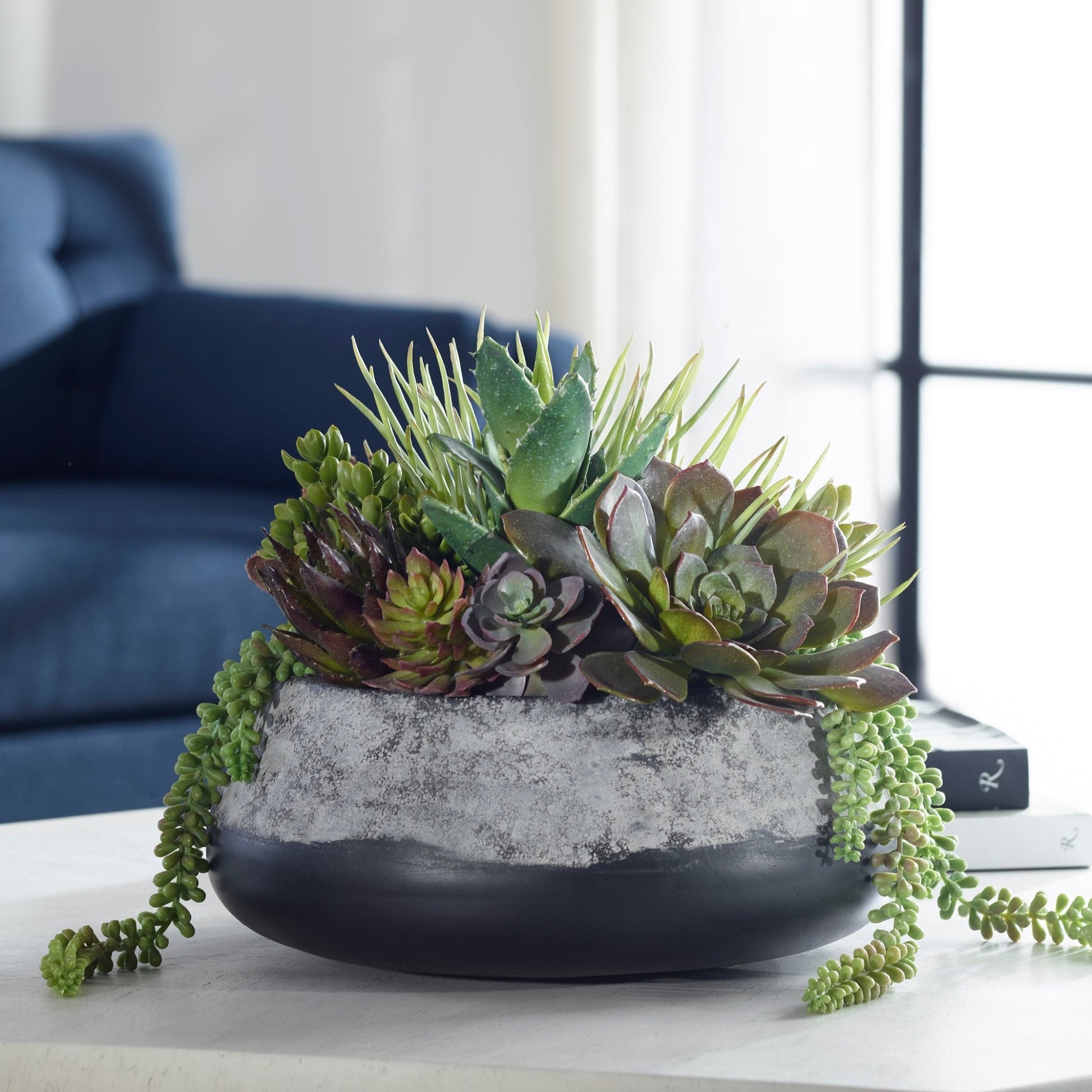 Yuma Succulent Centerpiece Plants| Uttermost