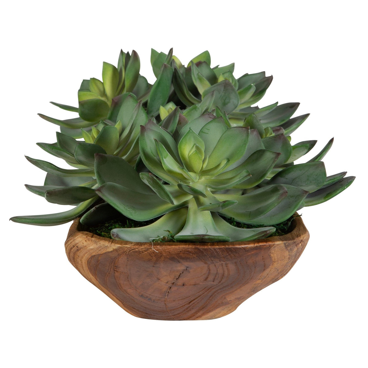 Yuma Succulent Centerpiece Table Decors| Uttermost