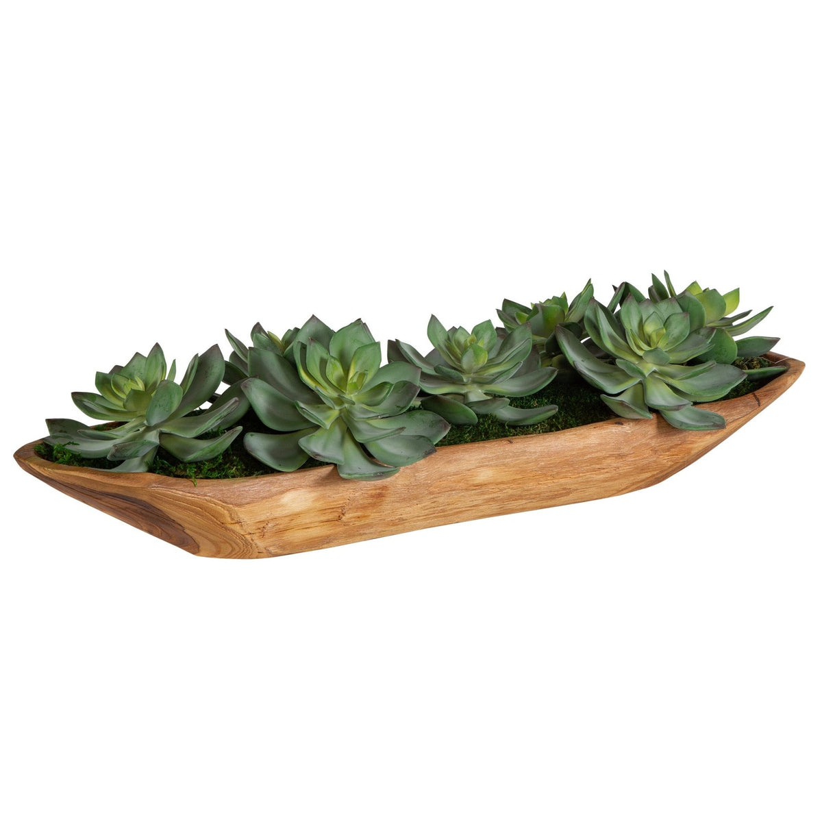 Yuma Succulent Centerpiece Table Decors| Uttermost