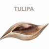 TULIPA TILE-SWTP1295 - SWTP1295 (6618397900896)