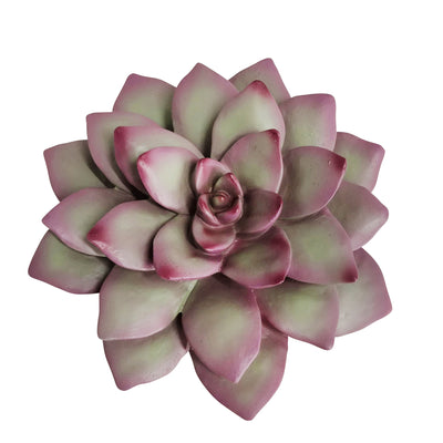 POLYRESIN 8" SUCCULENT WALL DECOR, PINK/GREEN WB (6608460054624)