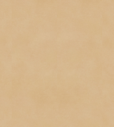 Fibra Natural Glue down Carpet Tile Box-1 Tiles Per Box (6604270665824)