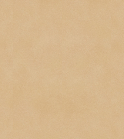 Fibra Natural Glue down Carpet Tile Box-1 Tiles Per Box (6604270665824)