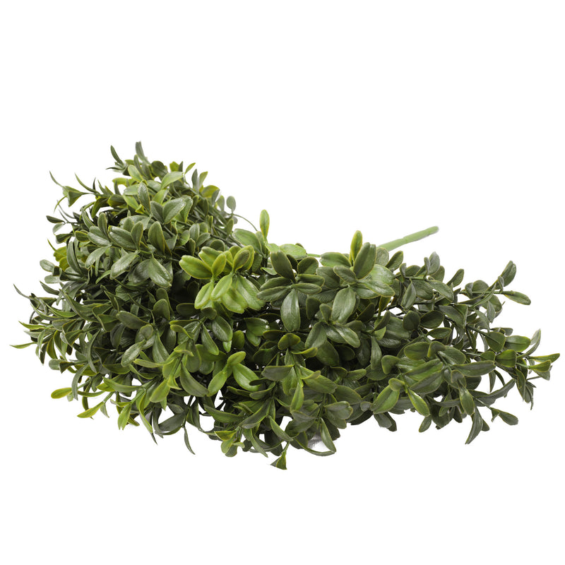 Tea Foliage Bush (6536658255968)