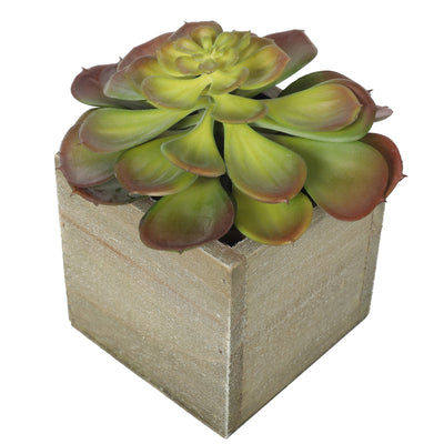 Artificial Potted Succulent Plants 16CM Indoo (6536501133408)