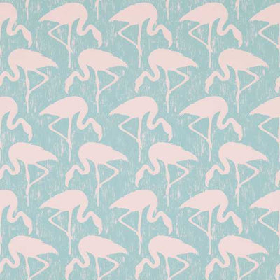Flamingos