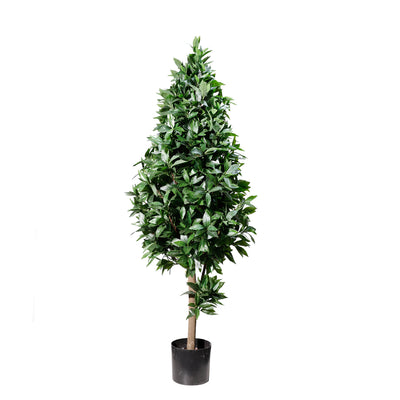 Laurel tree topiary (6638760067168)